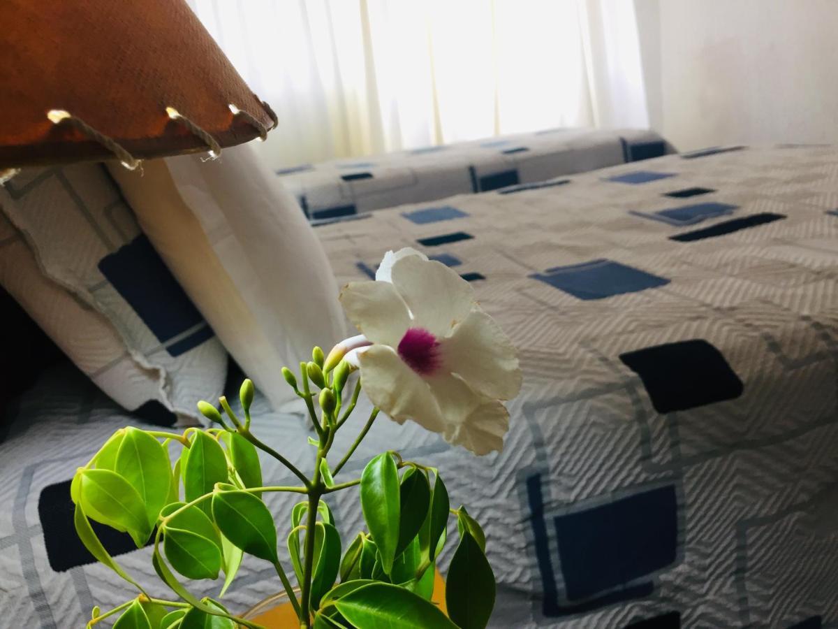 San Remo Terrazas Hotel Piriápolis Eksteriør bilde